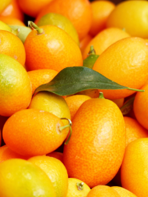 Kumquat Oil